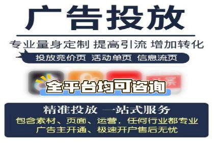 搜索引擎营销（SEM）的投放策略与效果评估——以某行业领先企业的案例分析